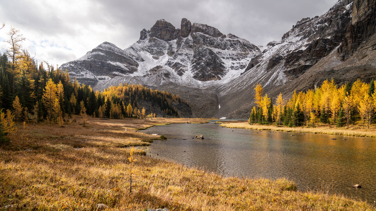Best Overlanding Routes for Fall Foliage in the US